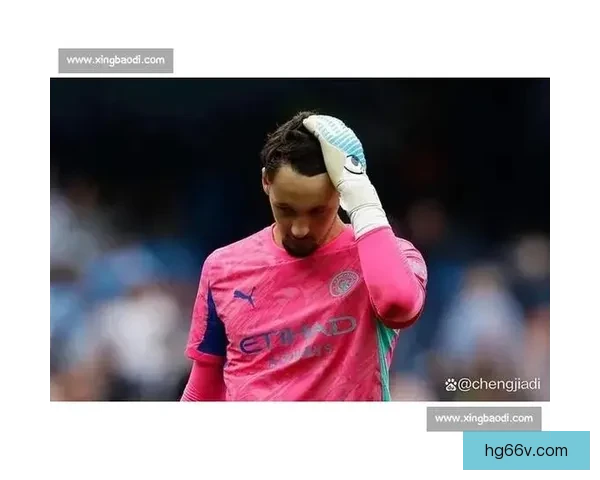 以德天空汉堡欲续租武什科维奇热刺计划召回打造核心新赛季中轴